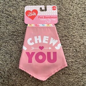 Pet Bandanas (Valentines Day) Large/XL